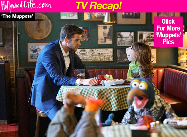 the muppets miss piggy arrested