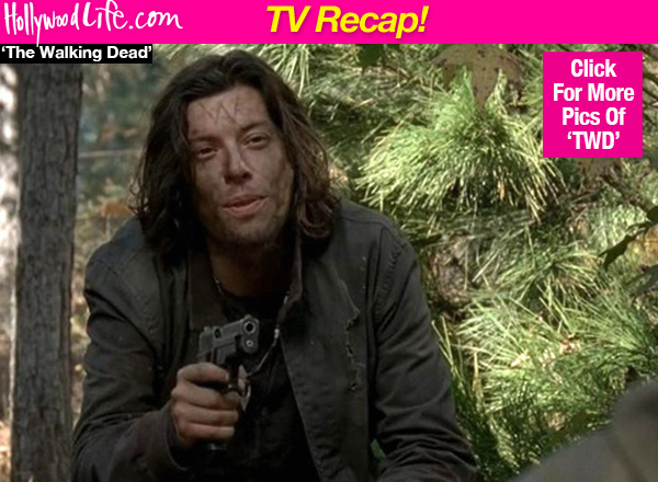 The Walking Dead Wolves Attack Alexandria