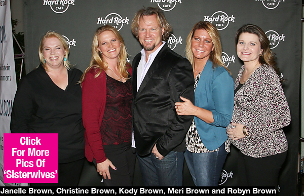 Sister Wives Meri Affair Facts