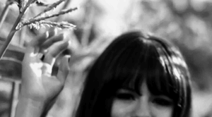 275950NiallSelena01