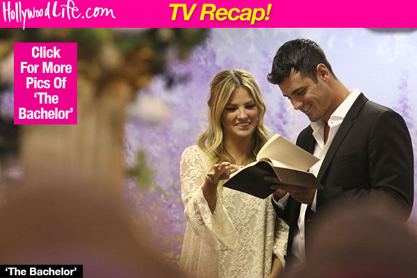 the bachelor olivia meltdown