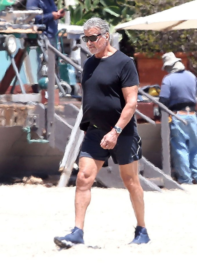 Sylvester Stallone In 2020