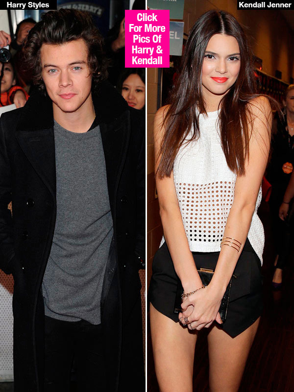 Kendall Jenner Disses Harry Styles