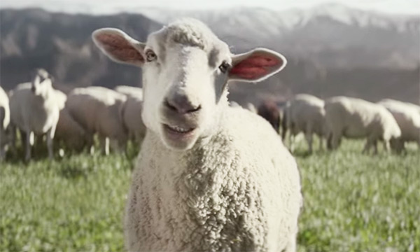 Honda Truck Super Bowl Commercial