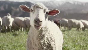 Honda Truck Super Bowl Commercial