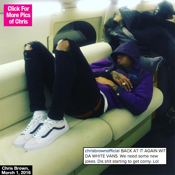 Chris Brown Damn Daniel White Vans