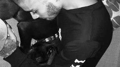 Zayn Malik Gigi Hadid Dog