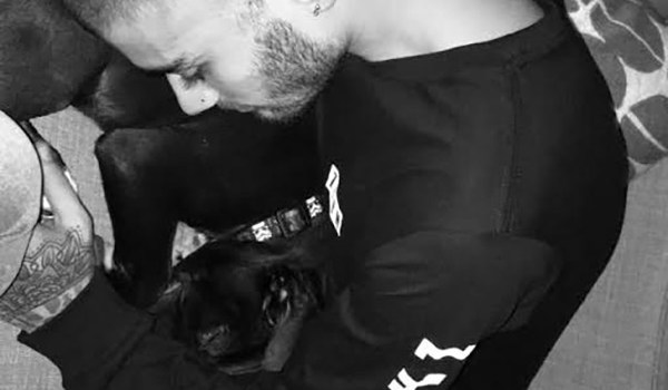 Zayn Malik Gigi Hadid Dog