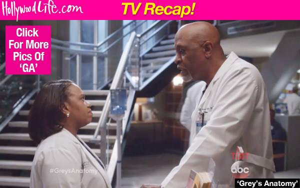 Greys Anatomy Ben Suspended