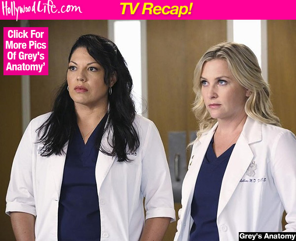 Grey's Anatomy Arizona Gets Custody