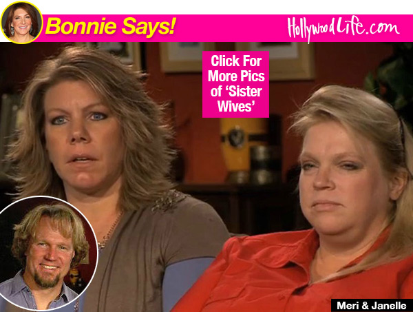 Sister Wives Meri Janelle Get Therapy