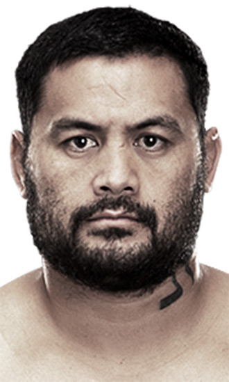 Mark Hunt Celeb Profile