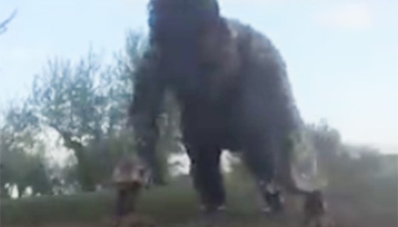 Tom Hardy 22 Push Up Challenge