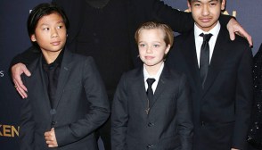 Brad Pitt Giving Up Career