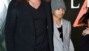 Brad Pitt Fight Maddox