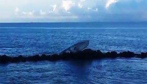 Jose Fernandez Crash Video