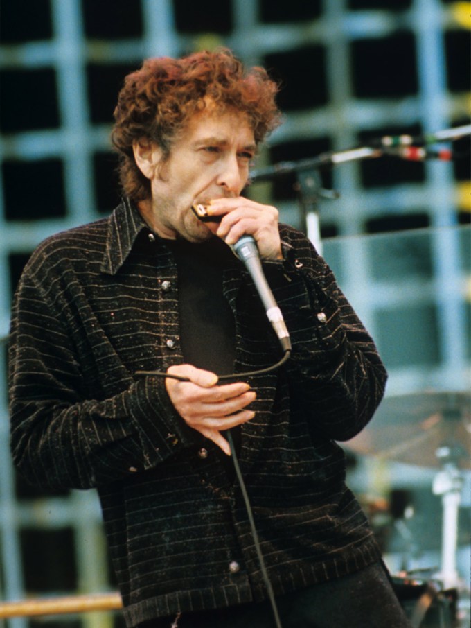 Bob Dylan At Hyde Park Concert