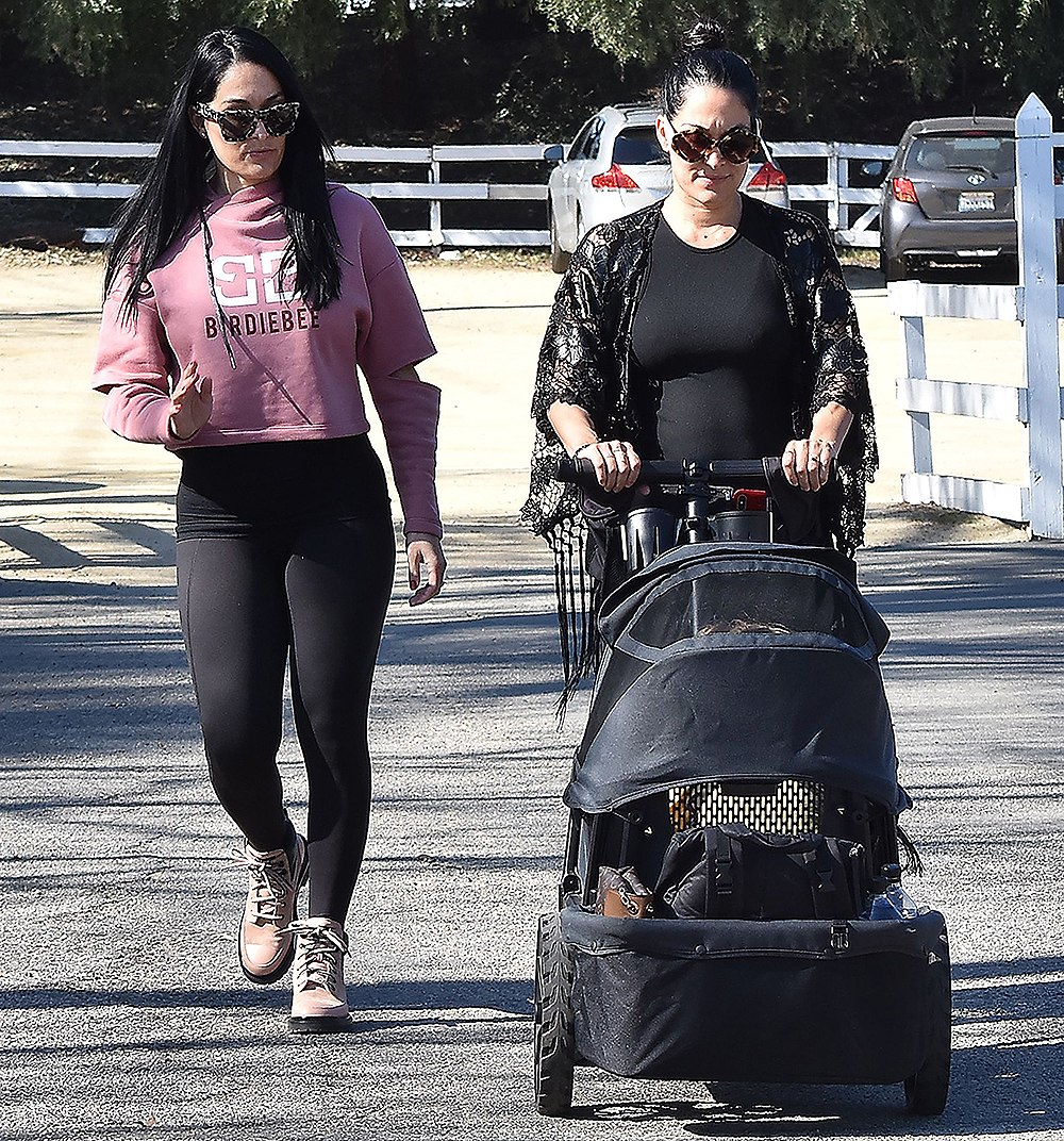 Nikki and Brie Bella out and about, Studio City, Los Angeles, USA - 15 Feb 2020