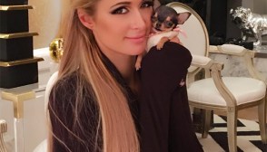 Paris Hilton New Dog