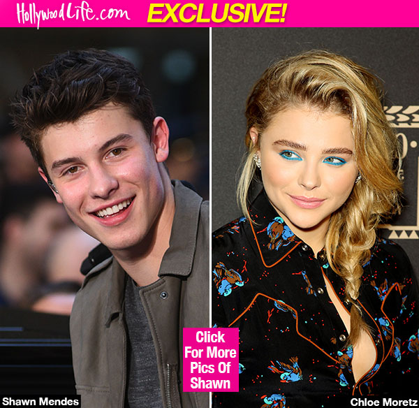Shawn Mendes Crush Chloe Moretz