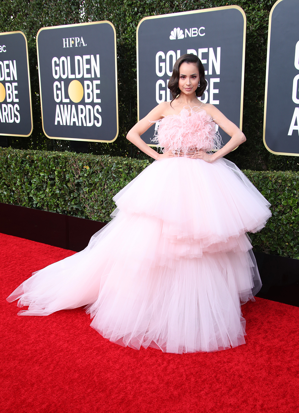 Sofia Carson
77th Annual Golden Globe Awards, Arrivals, Los Angeles, USA - 05 Jan 2020
Wearing Giambattista Valli