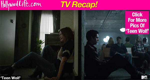 Teen Wolf Stiles Erased