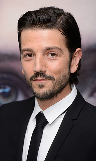 Diego Luna Celebrity Bio