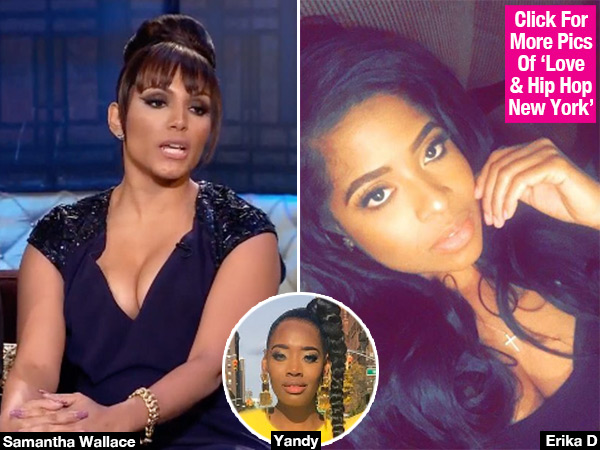 LHH Samantha Erika Fake Affair