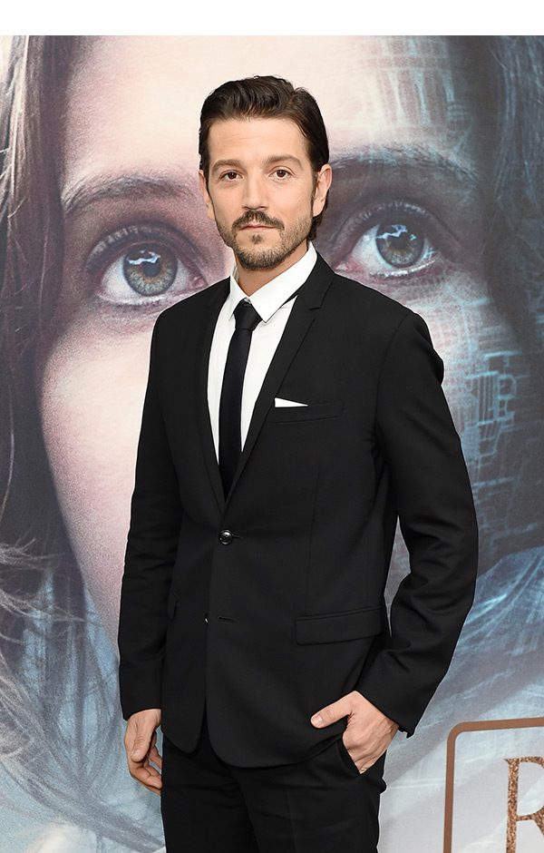 Who Is Diego Luna