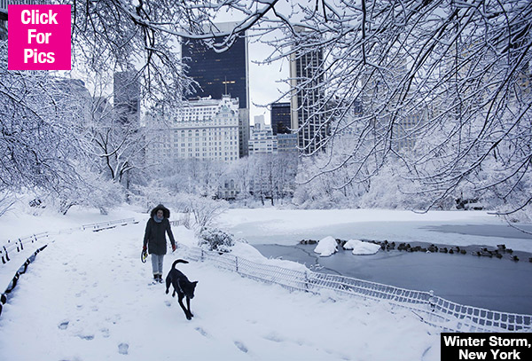 Watch Winter Storm Niko Live Stream