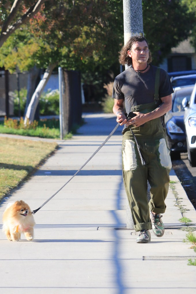 Gavin Rossdale Walks Chewy