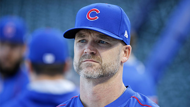 David Ross Celebrity Profile