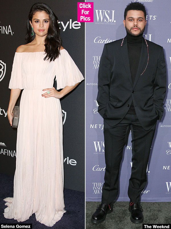 The Weeknd Selena Gomez Engaged