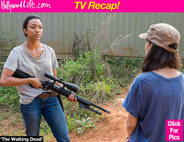 The Walking Dead Sasha Saves Rosita