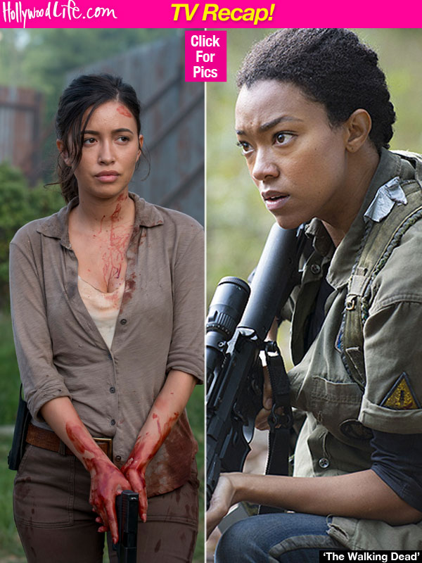 The Walking Dead Sasha Rosita Kill Negan