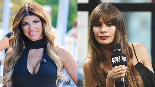 Teresa Giudice & Sofia Vergara