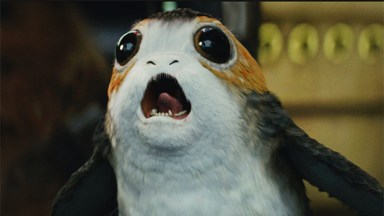 Porg