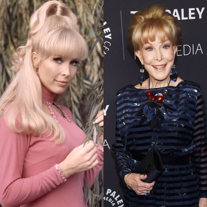 Barbara Eden