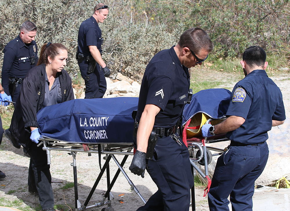 Mark Salling Commits suicide in Forrest by his Home.