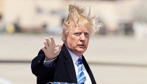 Donald Trump's Hair