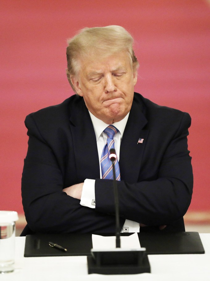 Preident Trump Pouts