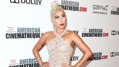 lady gaga nude dress