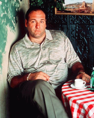 Editorial use only. No book cover usage.
Mandatory Credit: Photo by Anthony Neste/Hbo/Kobal/Shutterstock (5886200g)
James Gandolfini
The Sopranos - 1999
Hbo
USA
Television
Opera