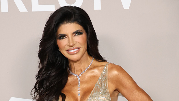 teresa-giudice-hottest-social