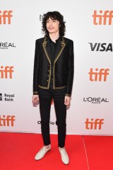 Finn Wolfhard
'The Goldfinch' premiere, Arrivals, Toronto International Film Festival, Canada - 08 Sep 2019
Wearing Saint Laurent same outfit as catwalk model *10286622am