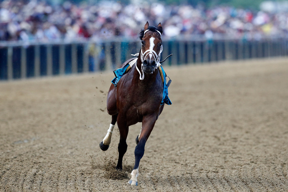 Bodexpress runs in the 144th Preakness Stakes horse race without John Velazquez at Pimlico race course, in Baltimore. War of Will, ridden by Tyler Gaffalione won
Preakness Stakes Horse Race, Baltimore, USA - 18 May 2019