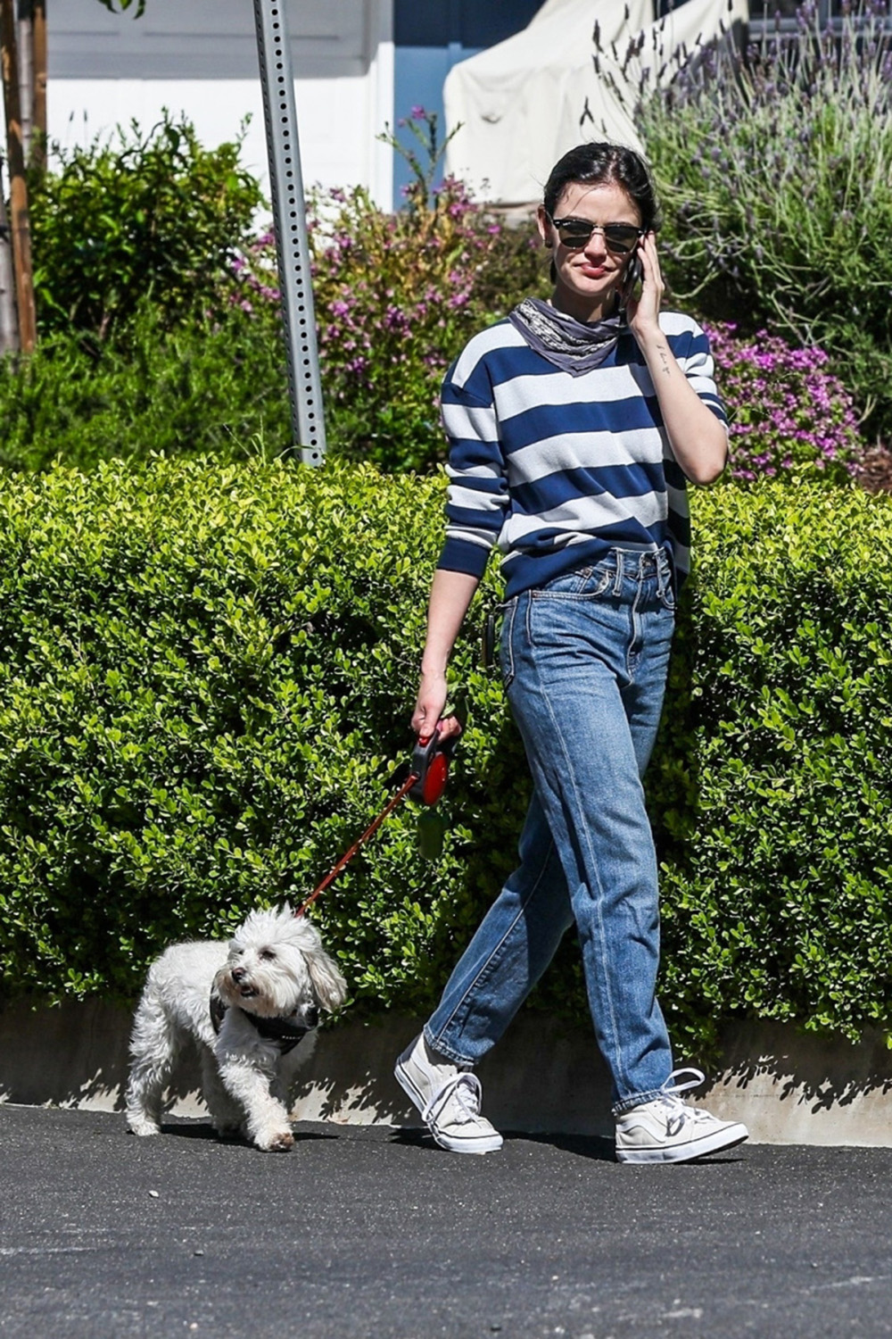 Lucy Hale dog walk stripes