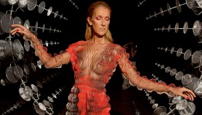 Celine Dion Sheer Dress