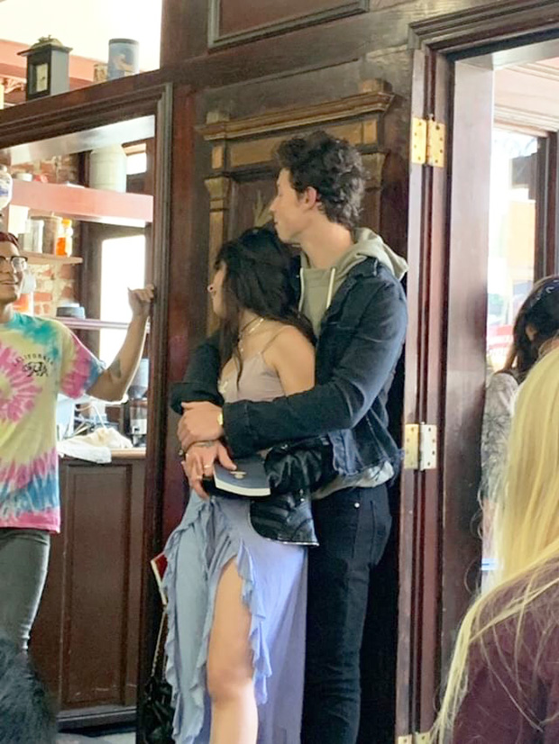 Shawn Mendes and Camila Cabello