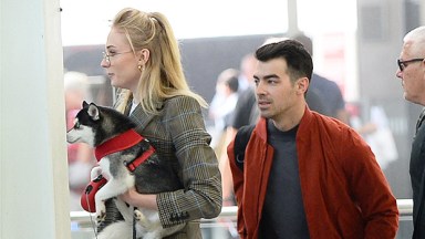 Joe Jonas, Sophie Turner and dog Waldo